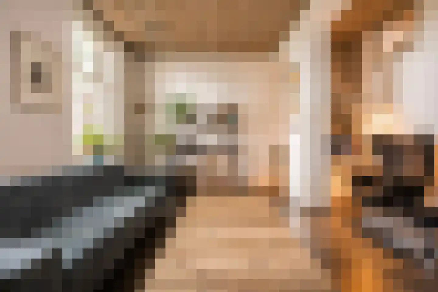 Maasdijk 40 Ravenstein thumbnail 8