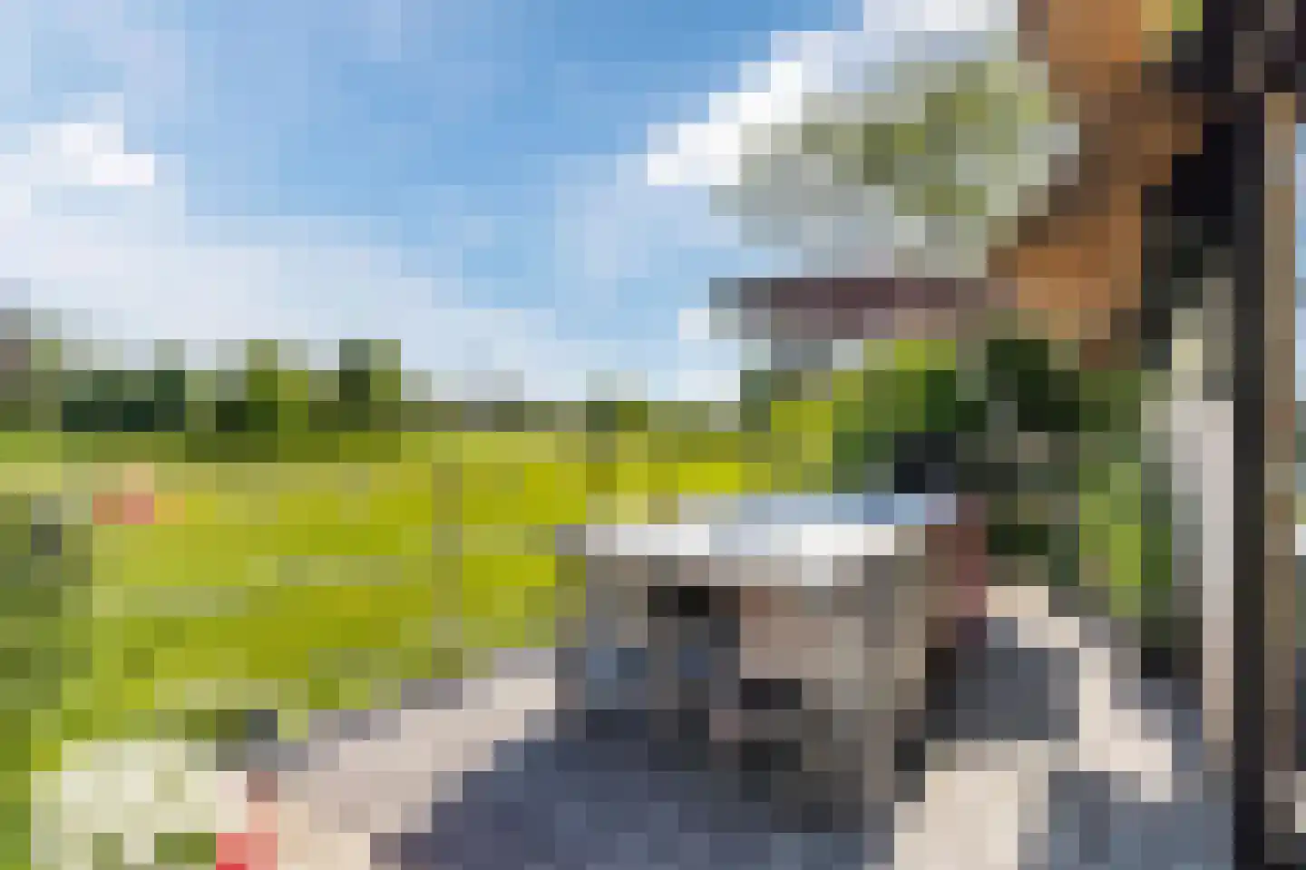 Maasdijk 409 Veen thumbnail 11