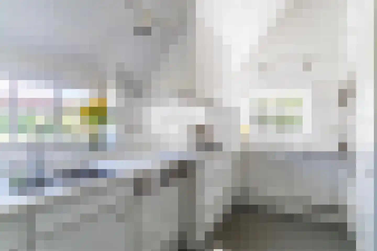 Maasdijk 409 Veen thumbnail 13