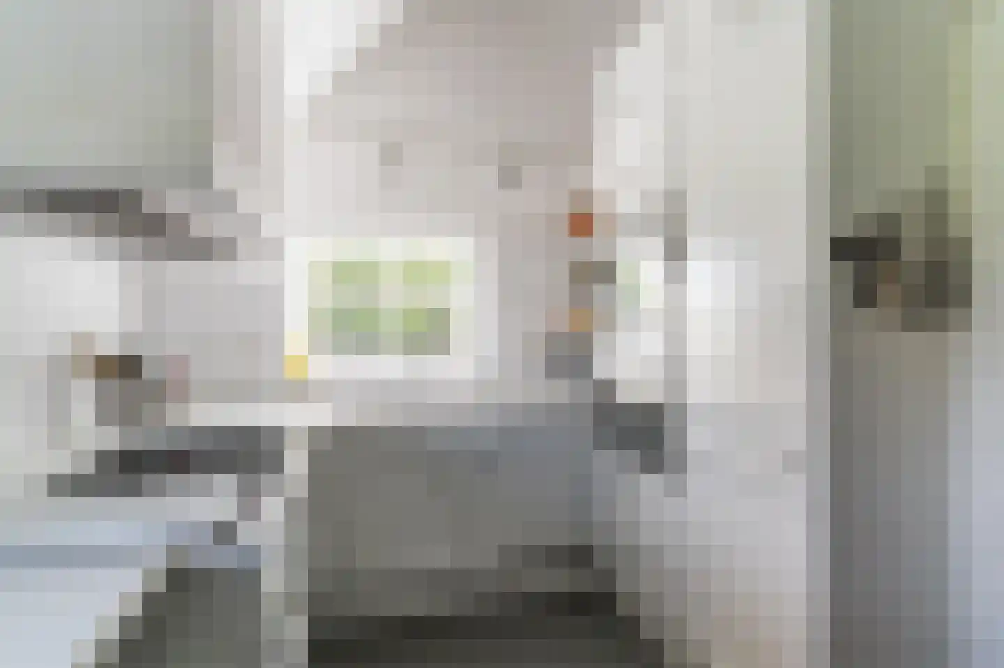 Maasdijk 409 Veen thumbnail 15