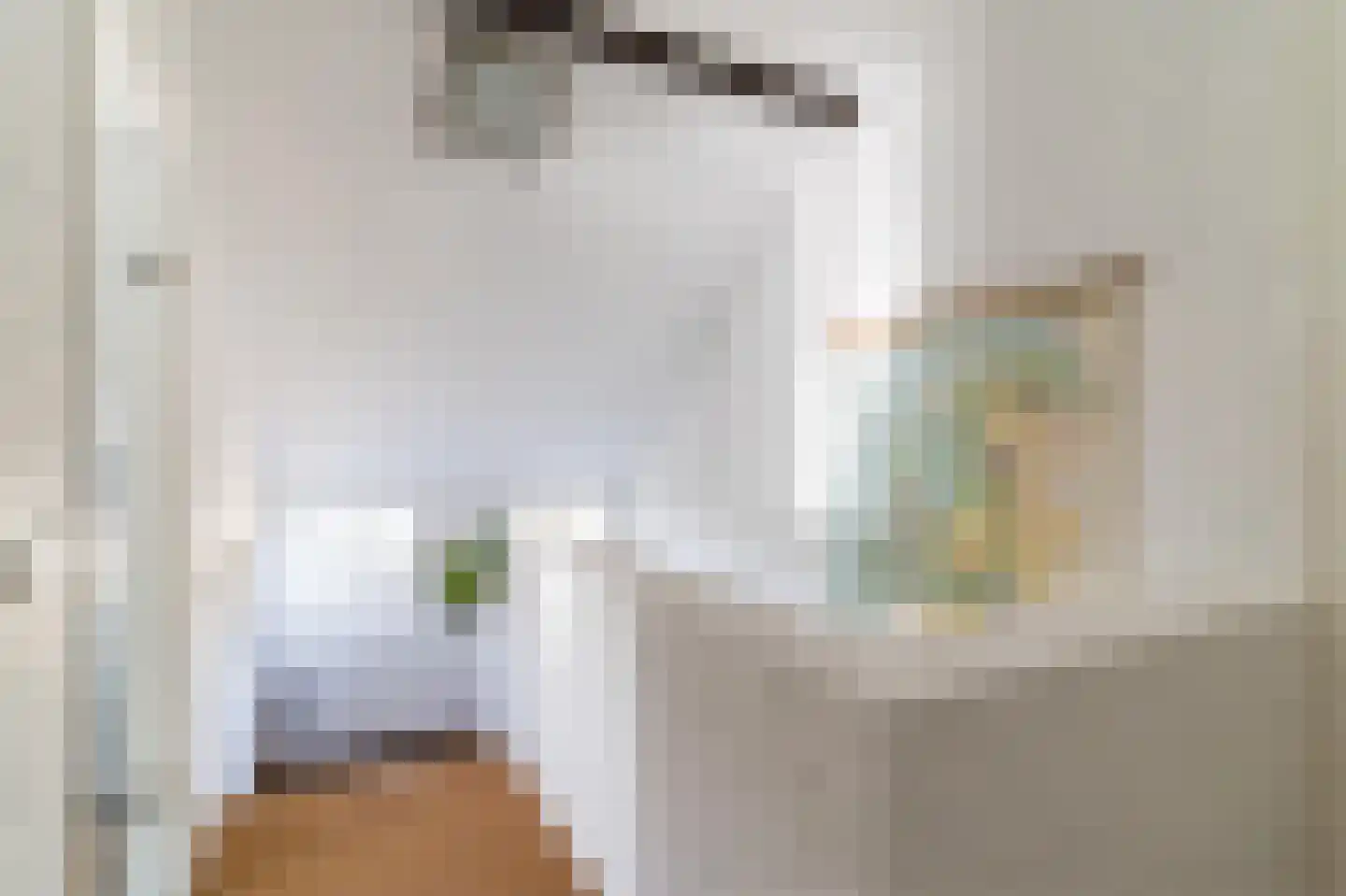 Maasdijk 409 Veen thumbnail 18