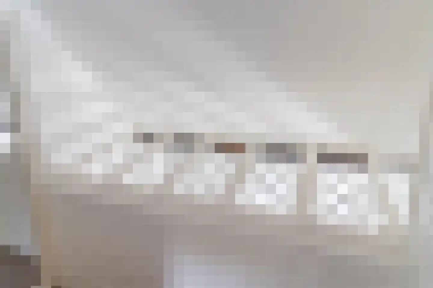 Maasdijk 409 Veen thumbnail 19