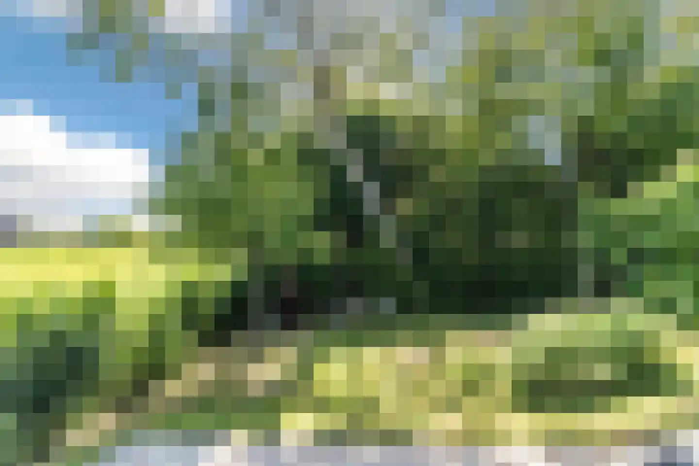 Maasdijk 409 Veen thumbnail 36