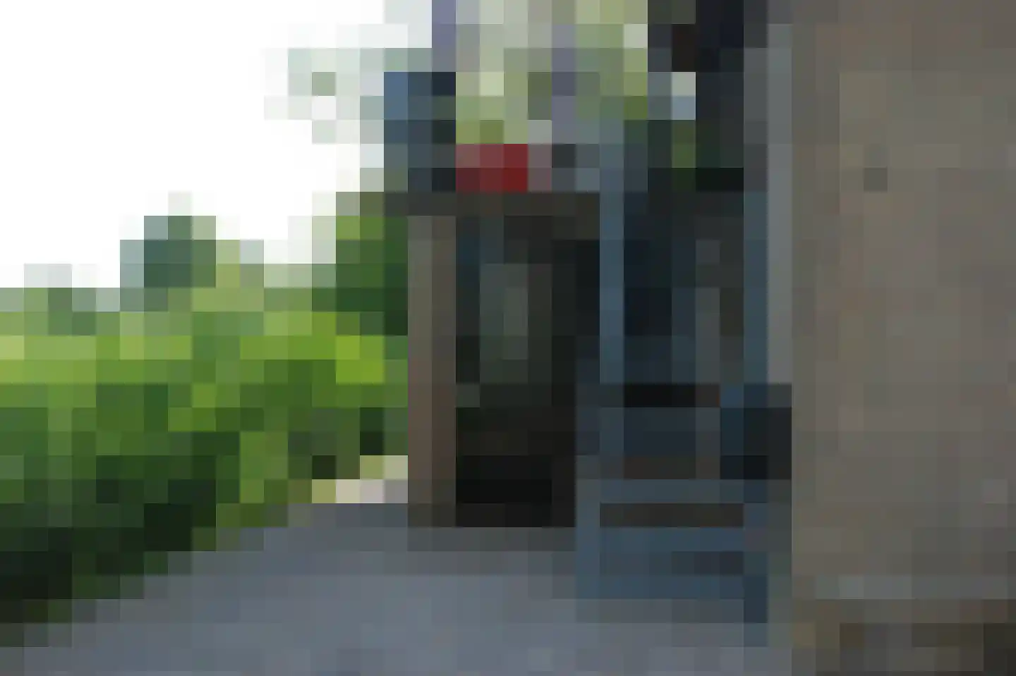 Maasdijk 409 Veen thumbnail 37