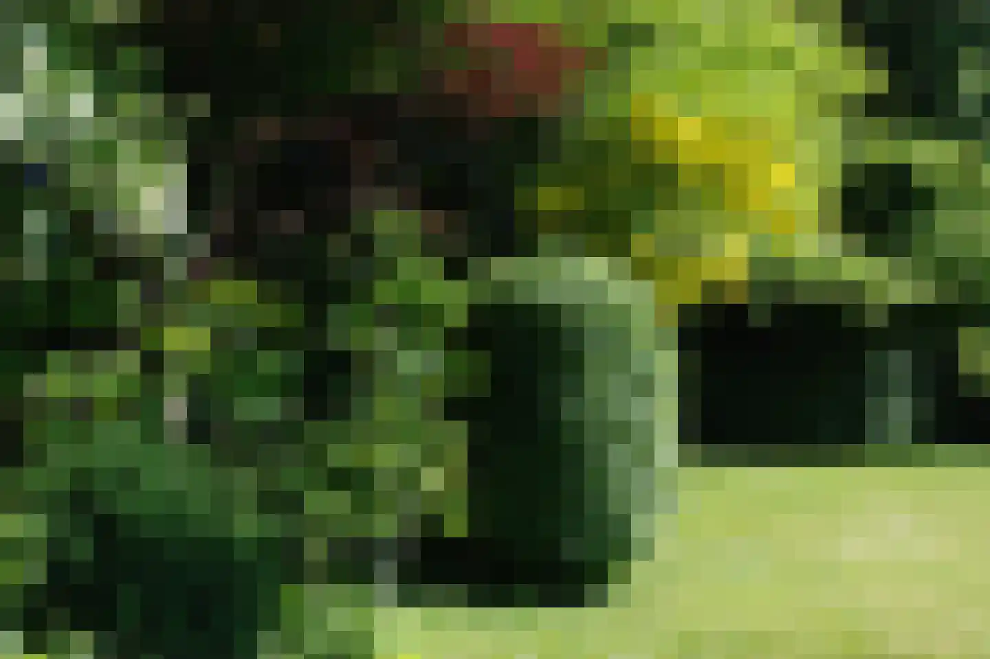 Maasdijk 409 Veen thumbnail 38