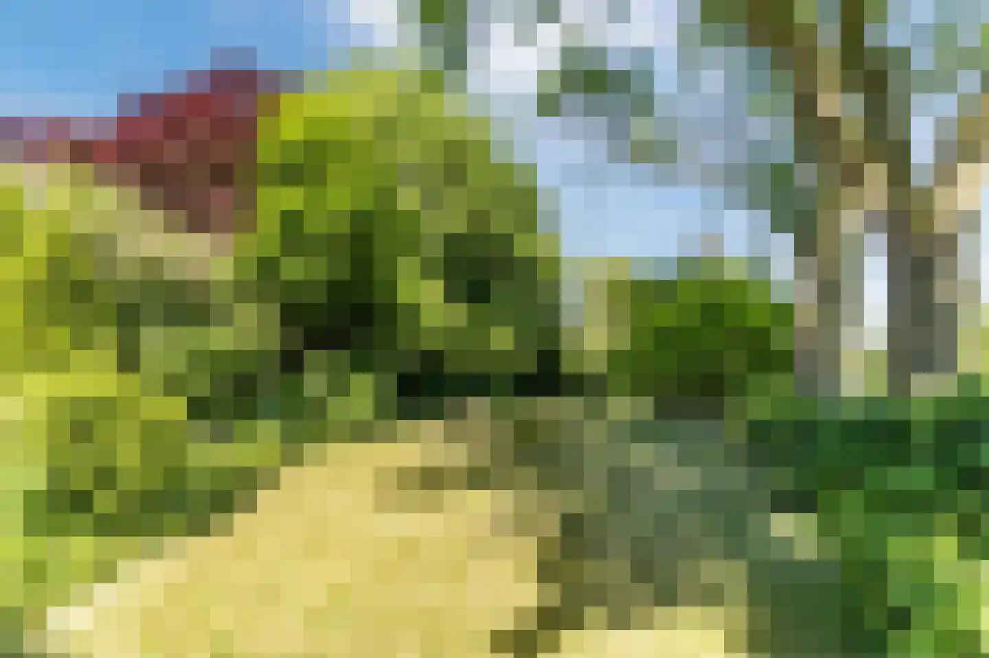 Maasdijk 409 Veen thumbnail 39