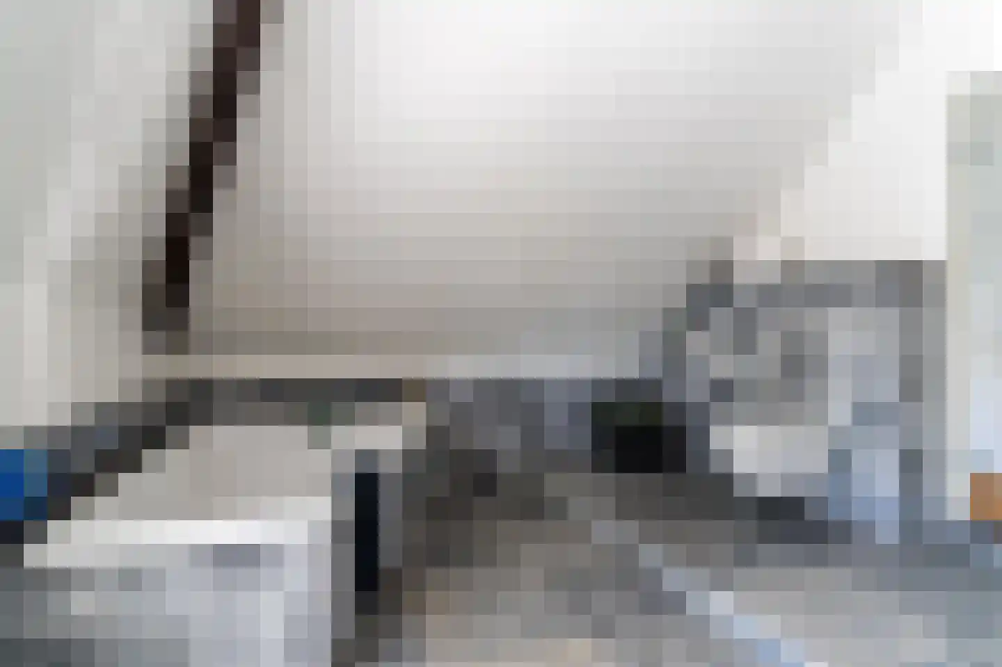 Maasdijk 409 Veen thumbnail 4