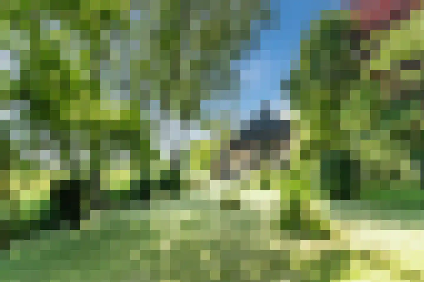 Maasdijk 409 Veen thumbnail 40