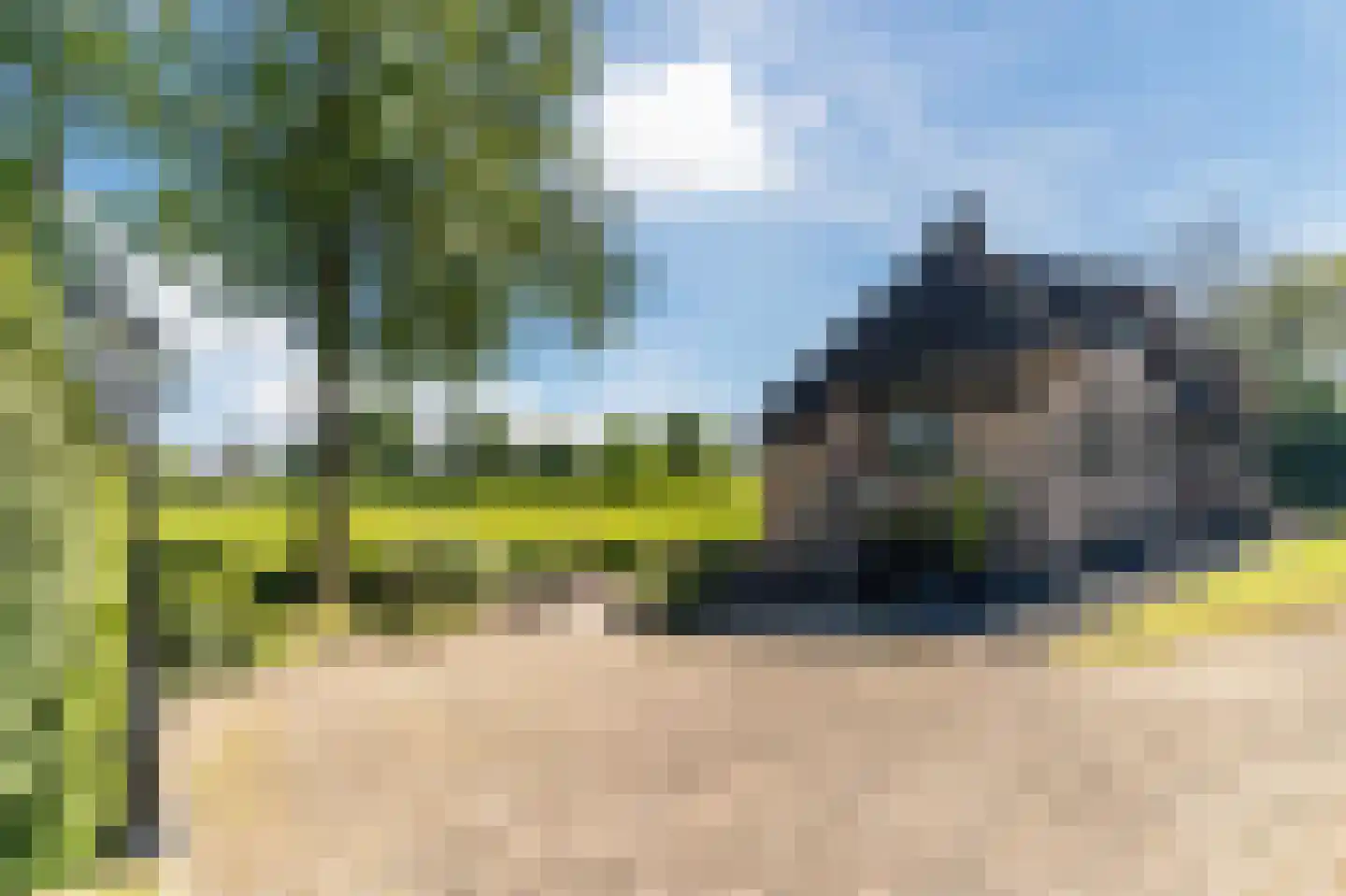 Maasdijk 409 Veen thumbnail 5