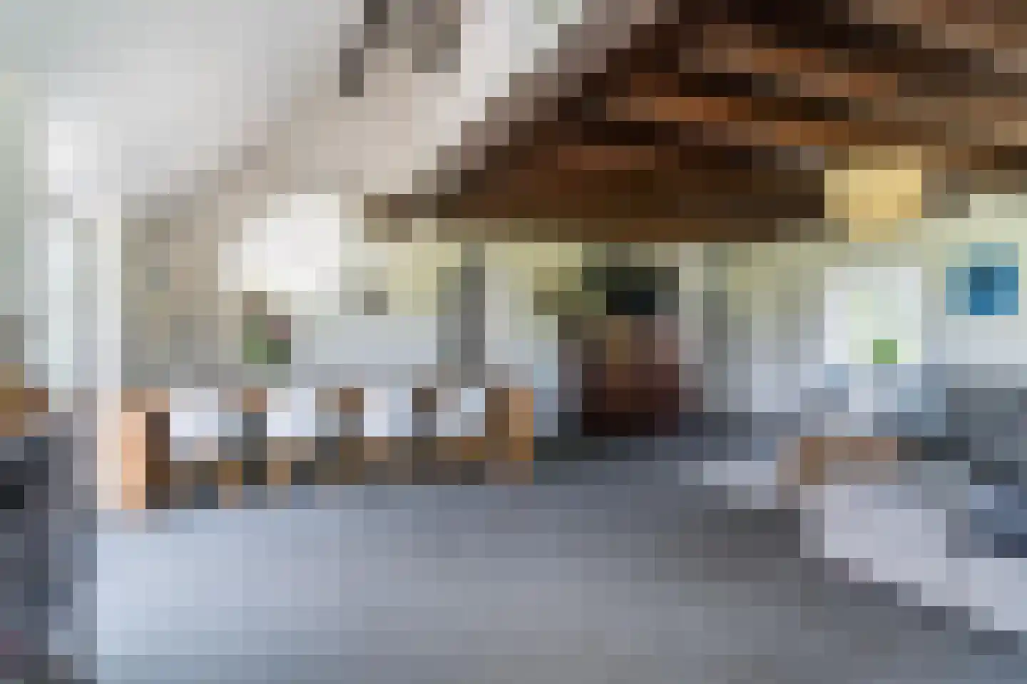 Maasdijk 409 Veen thumbnail 9