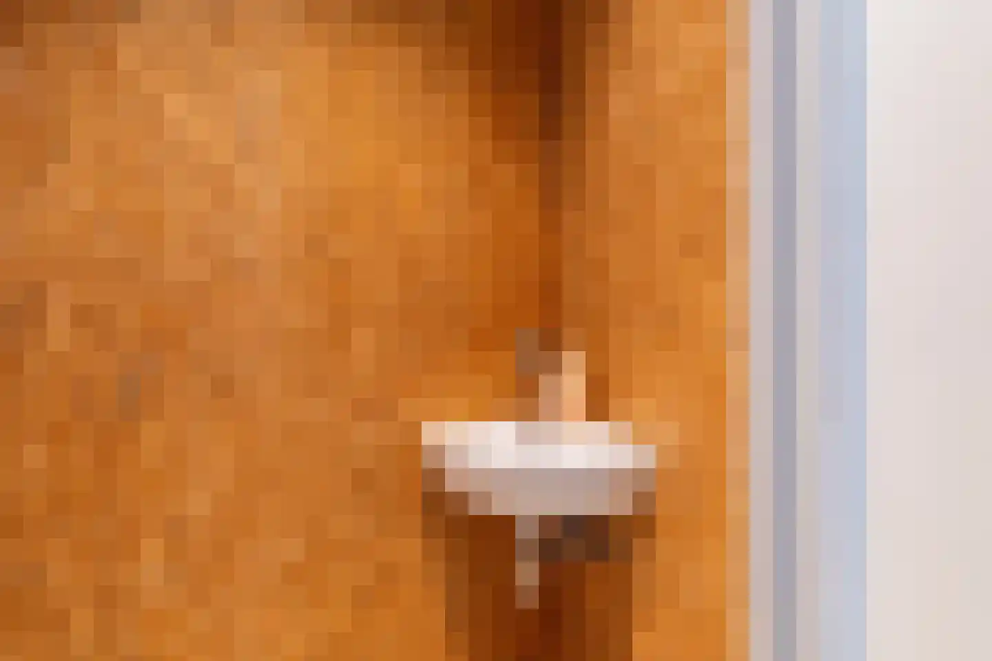 Maasdijk 431 a Veen thumbnail 11