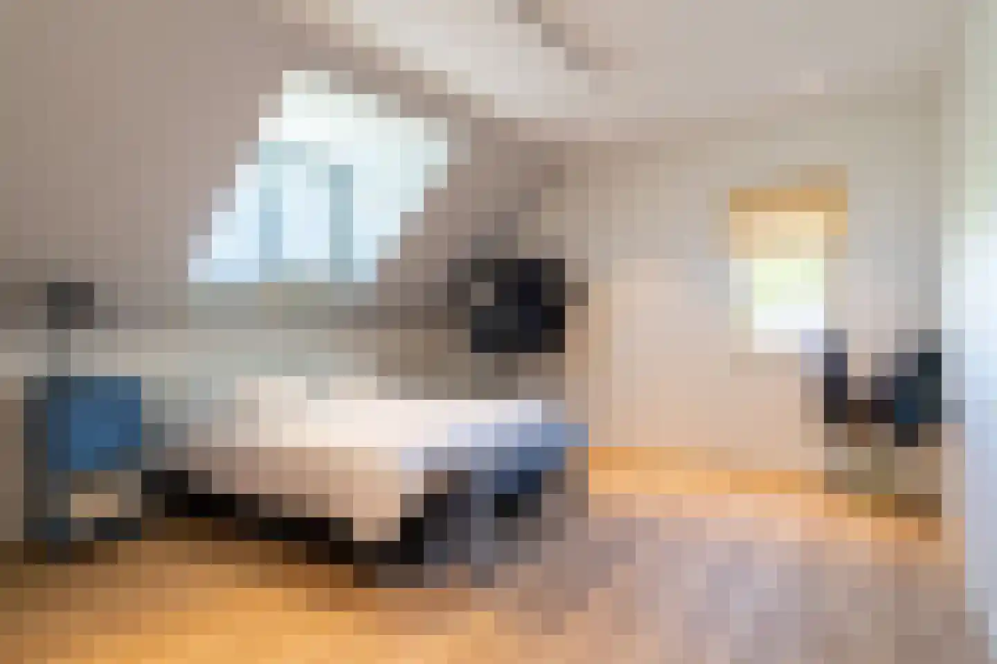Maasdijk 431 a Veen thumbnail 22
