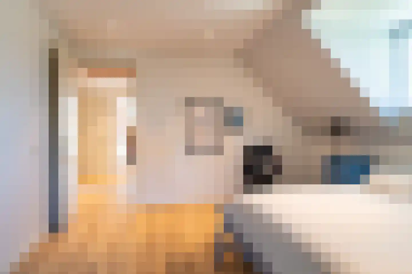 Maasdijk 431 a Veen thumbnail 23