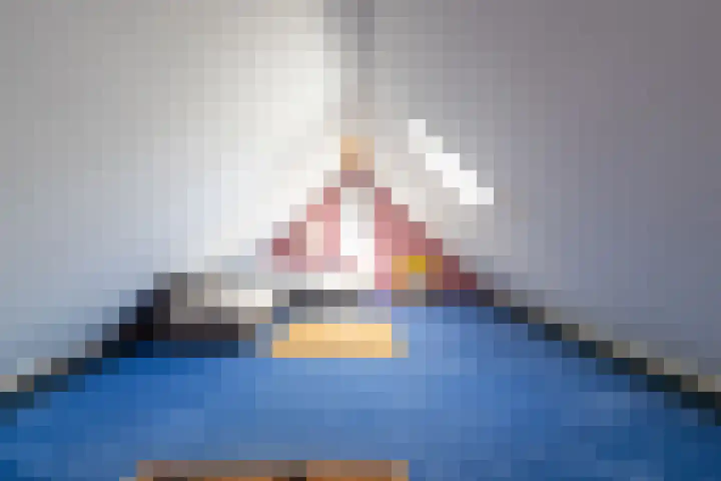 Maasdijk 431 a Veen thumbnail 32