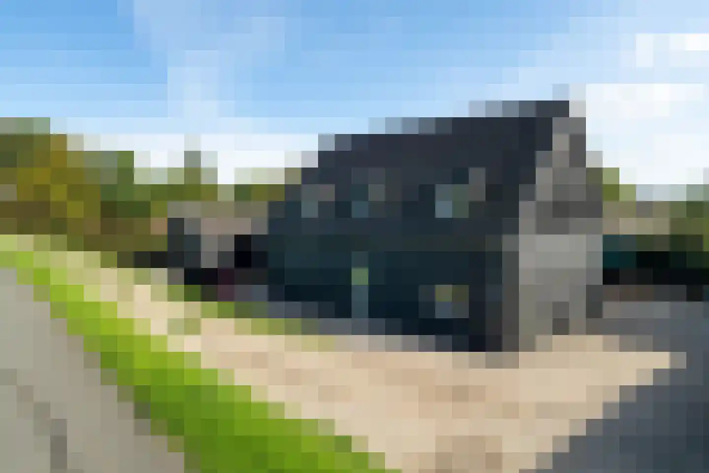 Maasdijk 431 a Veen thumbnail 4