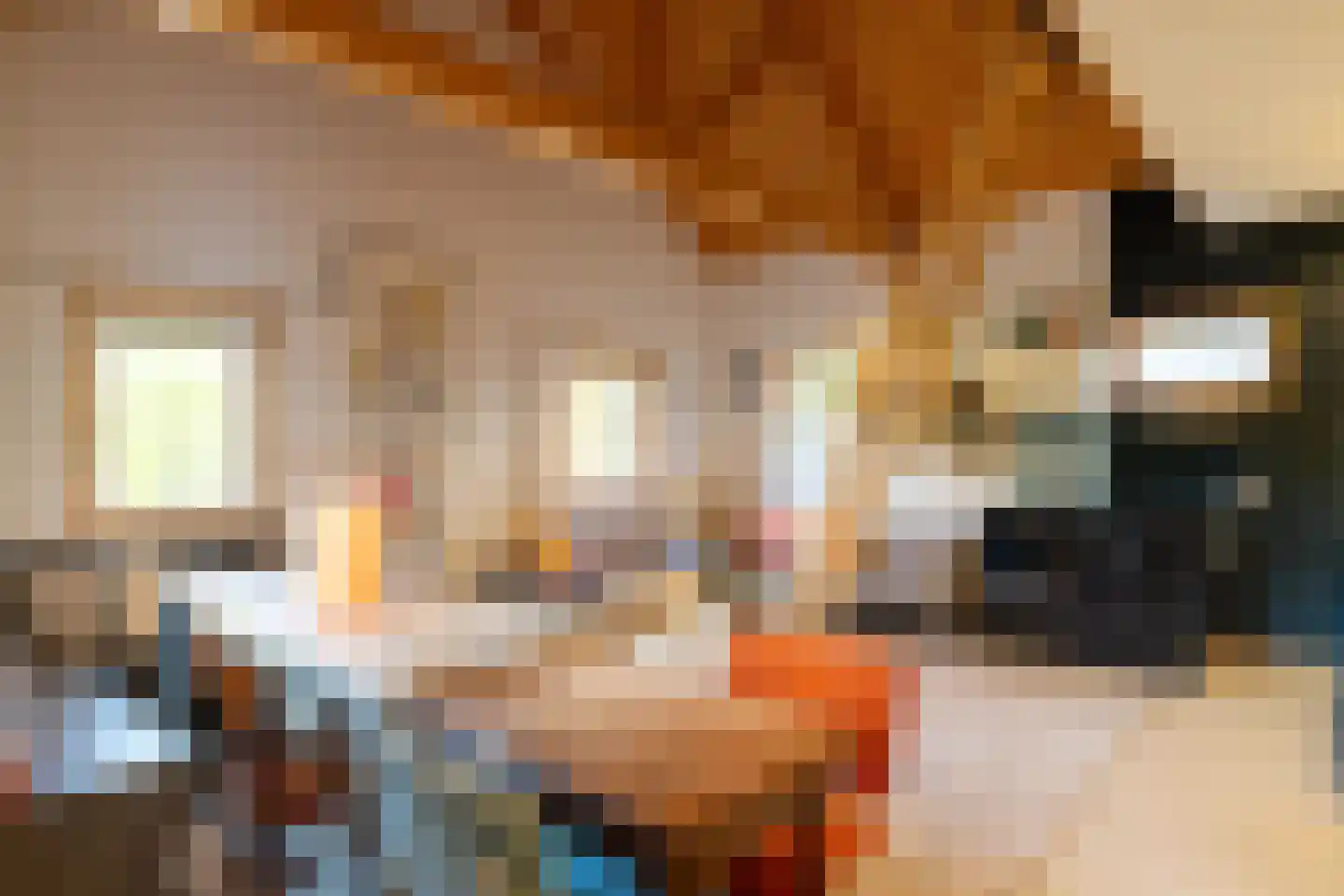 Maasdijk 431 a Veen thumbnail 40