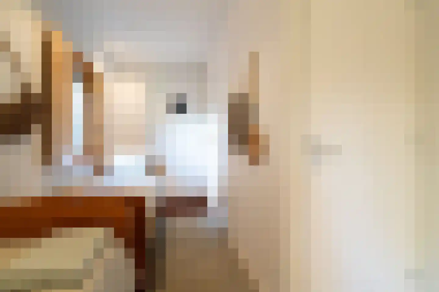 Maasdijk 431 a Veen thumbnail 47