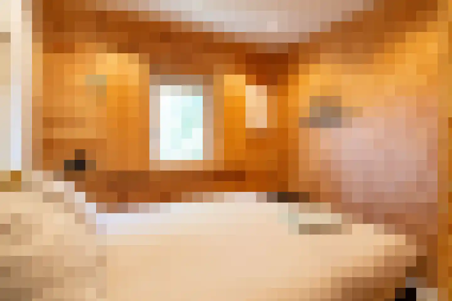 Maasdijk 431 a Veen thumbnail 52