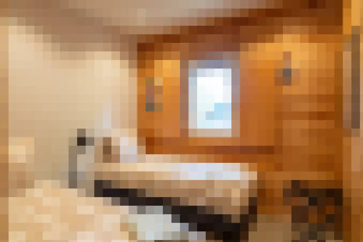 Maasdijk 431 a Veen thumbnail 56