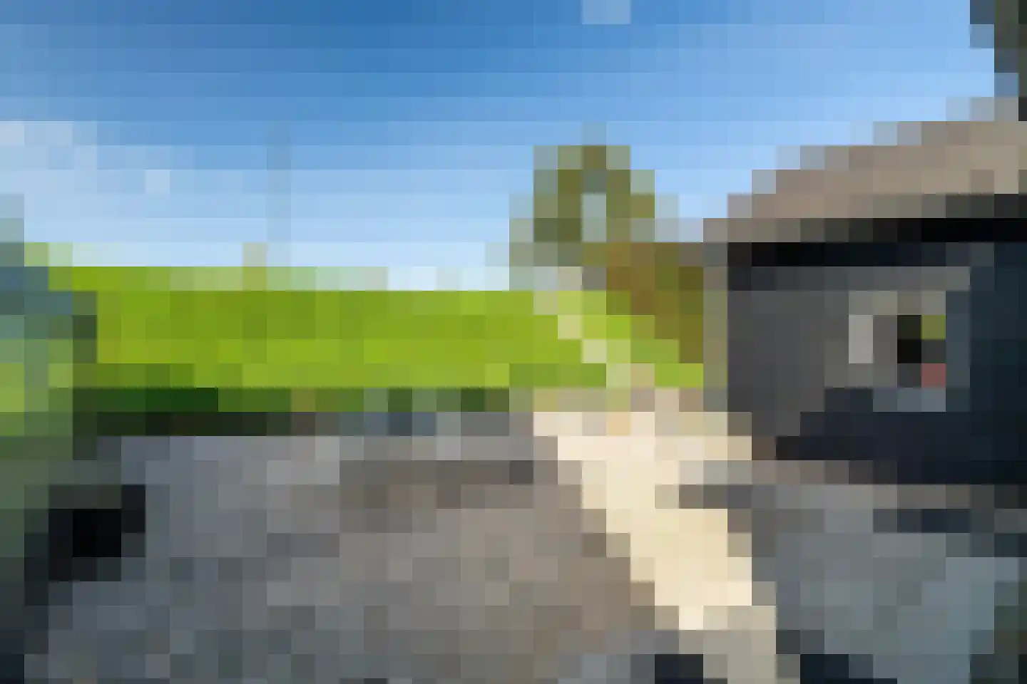 Maasdijk 431 a Veen thumbnail 59
