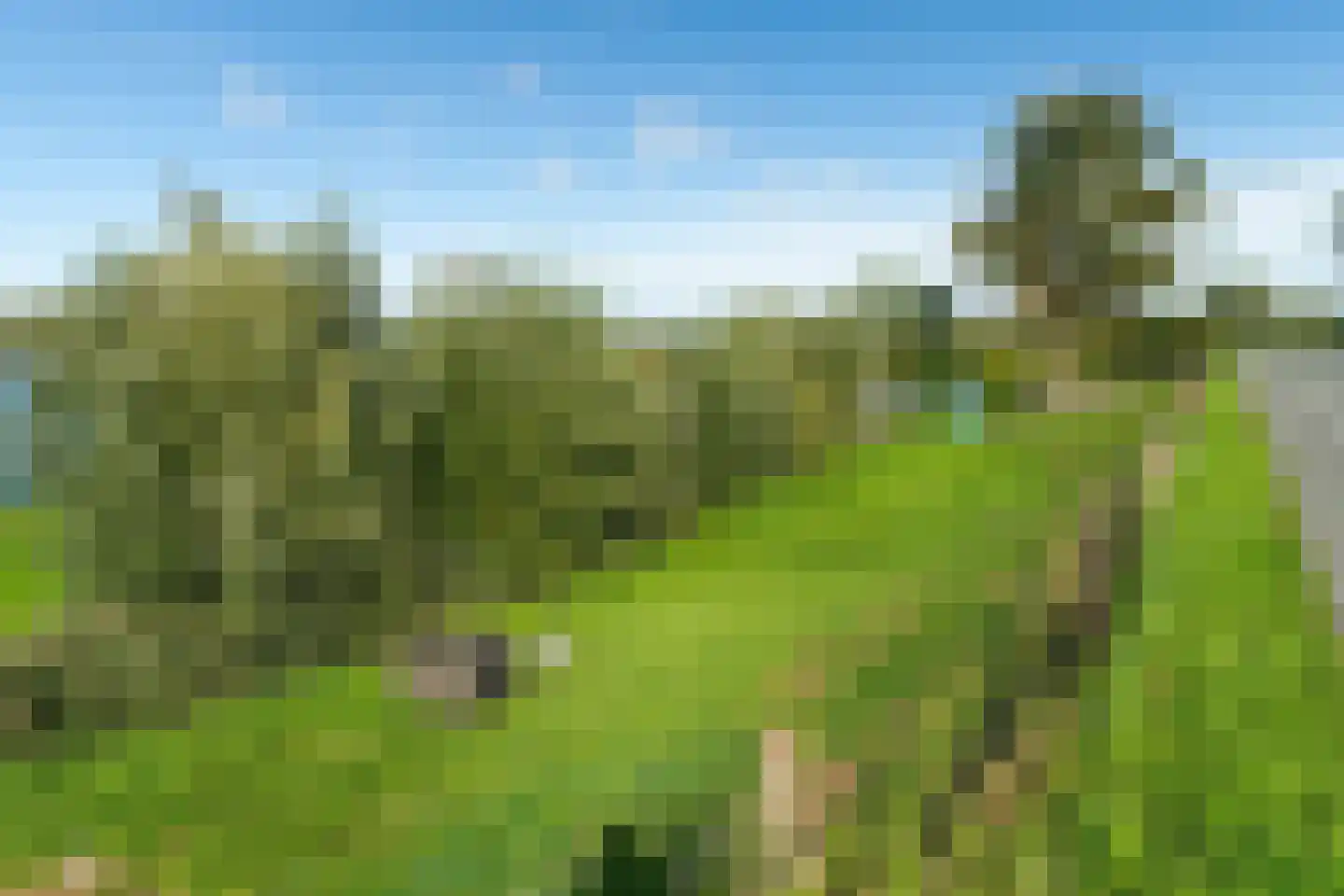 Maasdijk 431 a Veen thumbnail 6