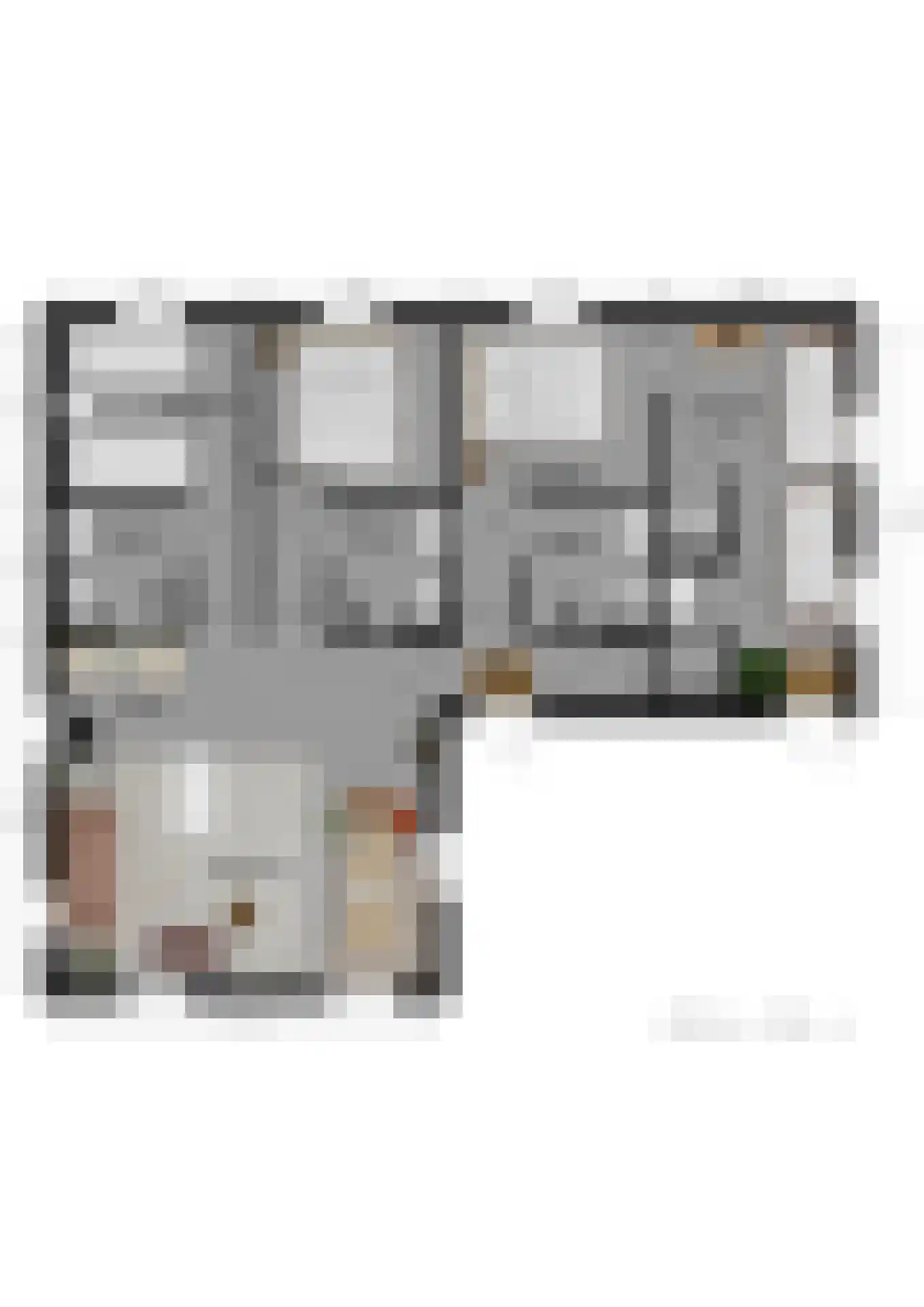 Maasdijk 431 a Veen thumbnail 67
