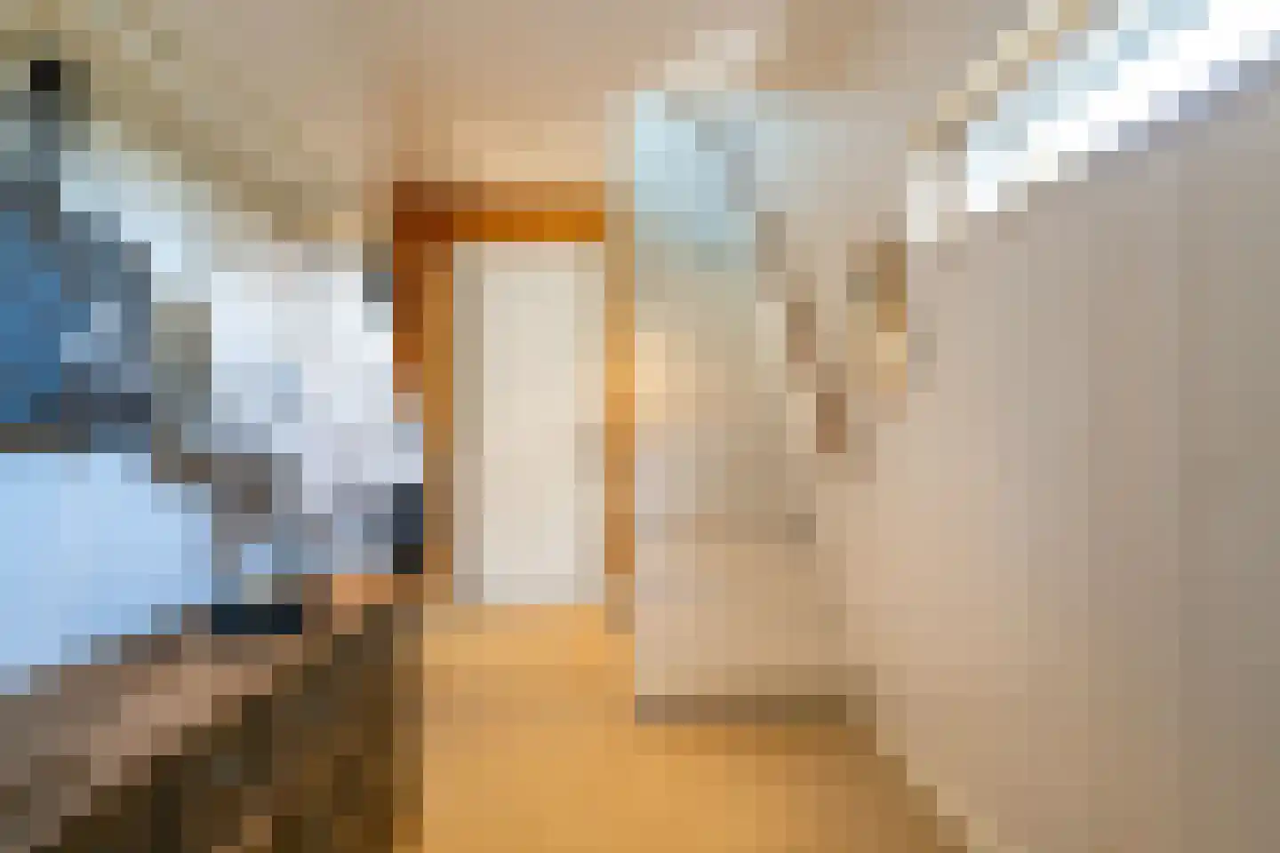 Maasdijk 431 a Veen thumbnail 9