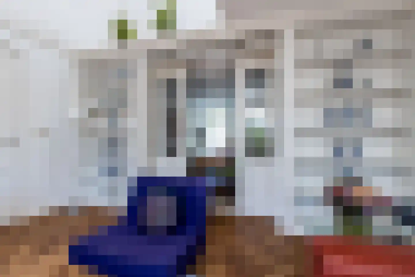 Maasdijk 45 Aalst thumbnail 12