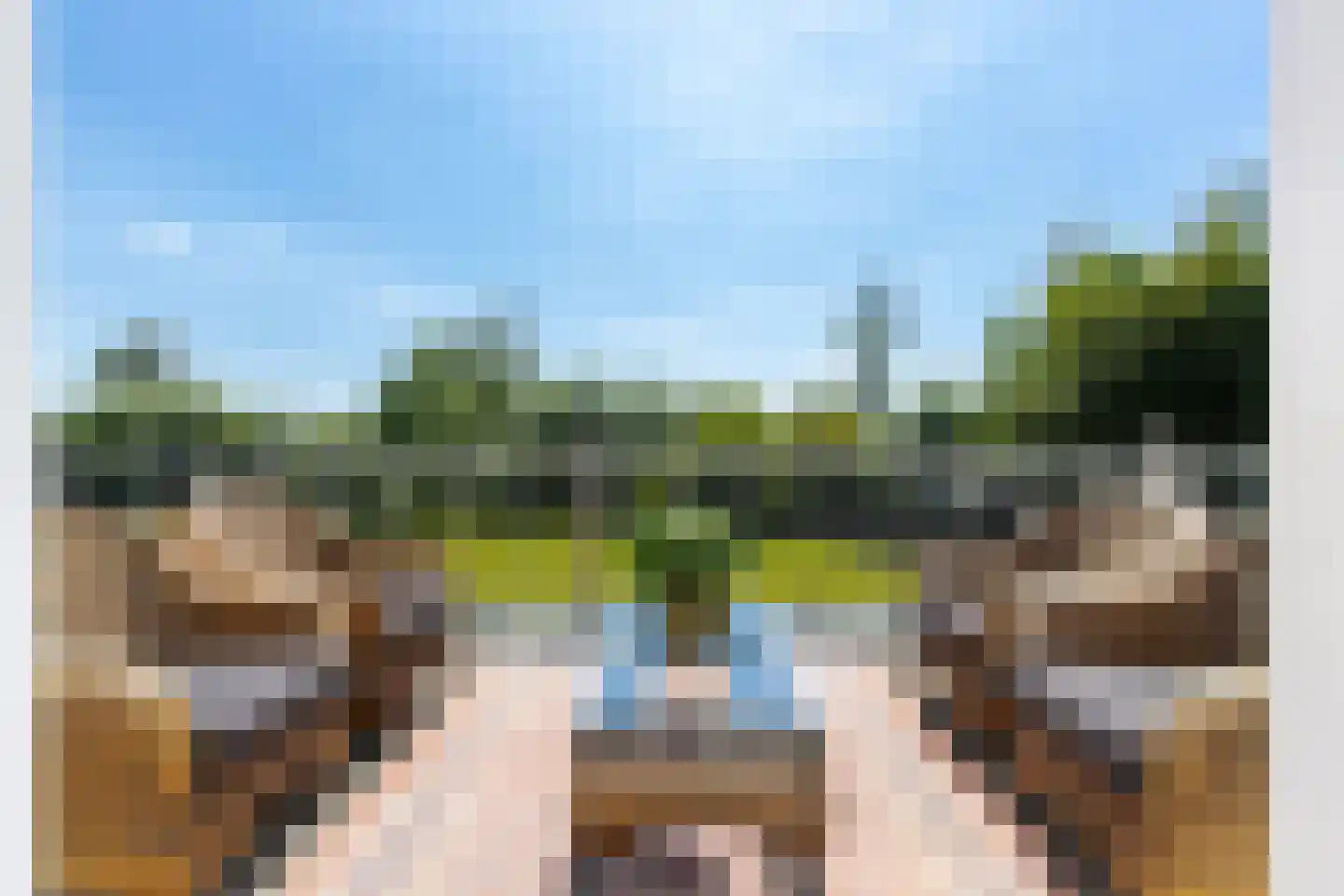 Maasdijk 45 Aalst thumbnail 13