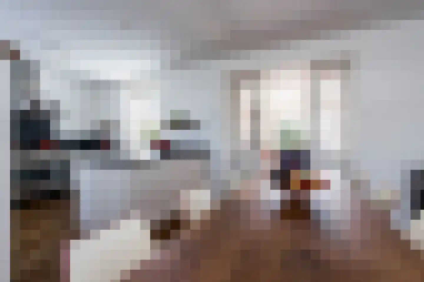 Maasdijk 45 Aalst thumbnail 22