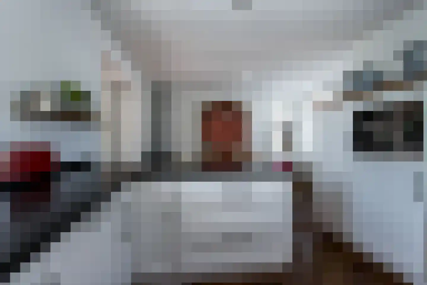 Maasdijk 45 Aalst thumbnail 26