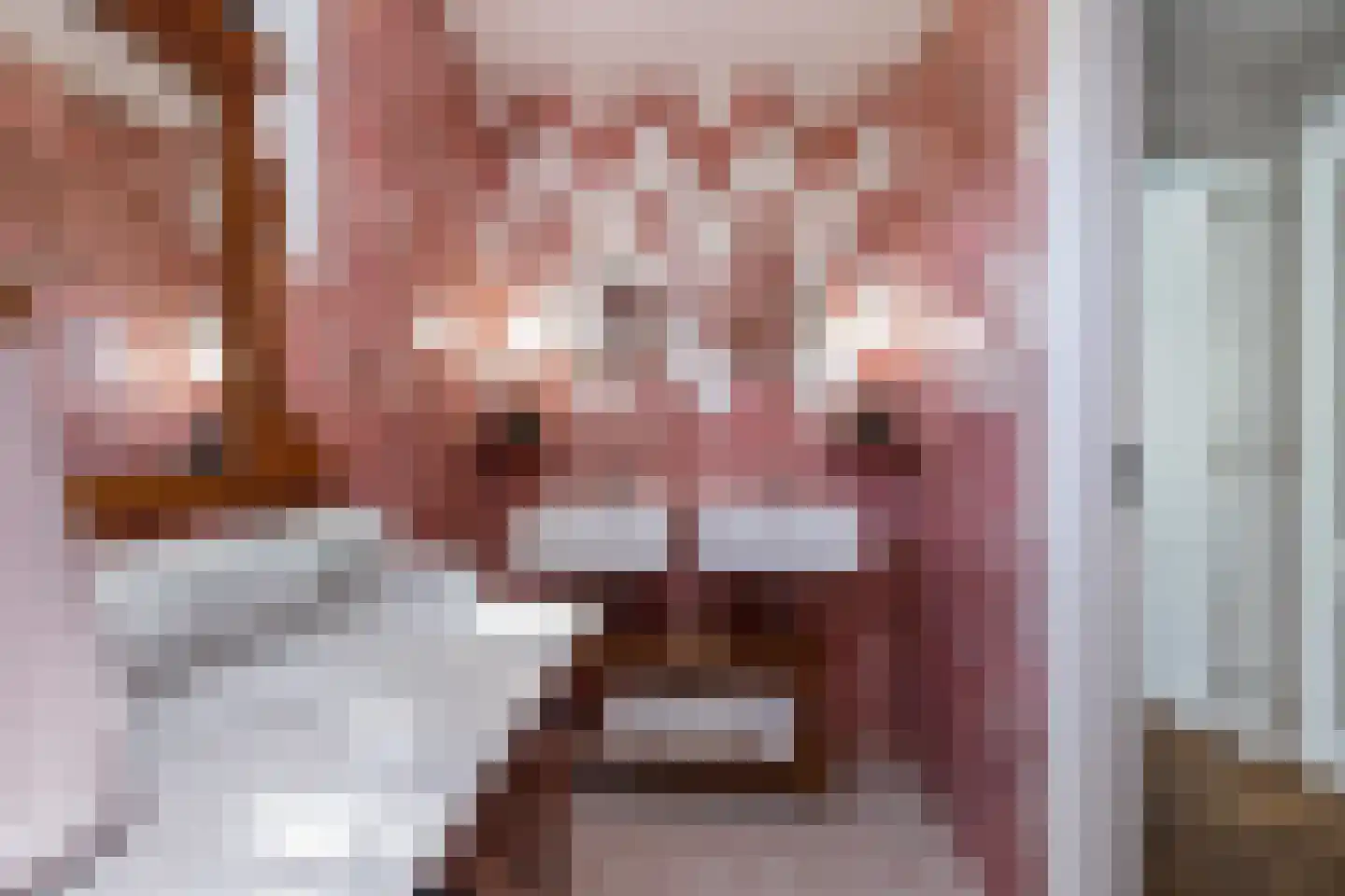 Maasdijk 45 Aalst thumbnail 35