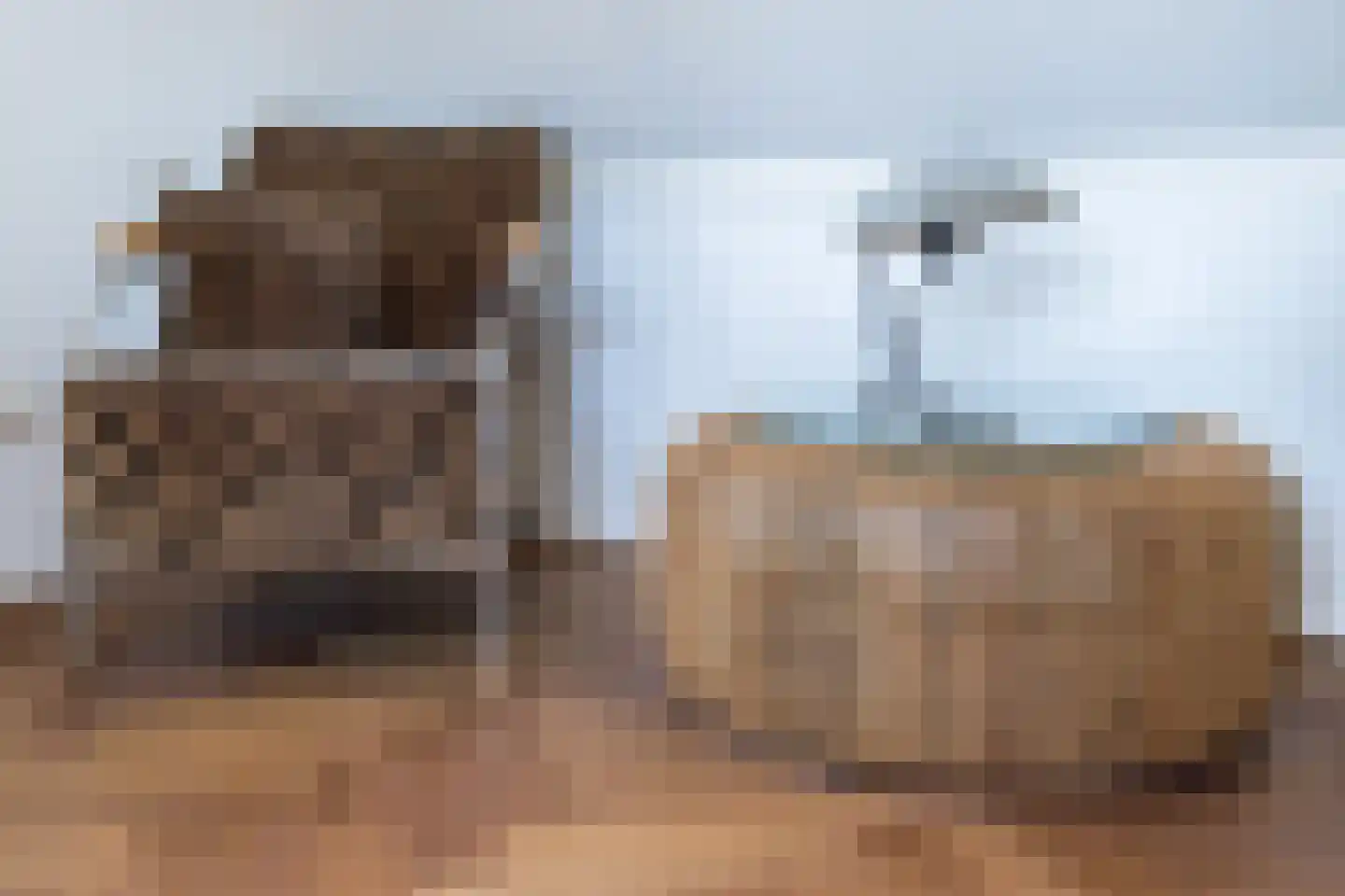 Maasdijk 45 Aalst thumbnail 41