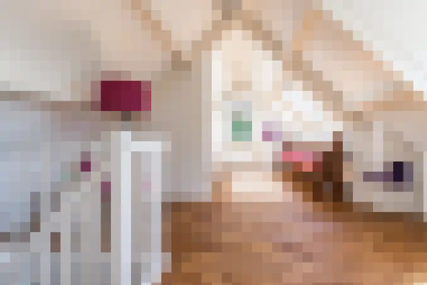 Maasdijk 45 Aalst thumbnail 42