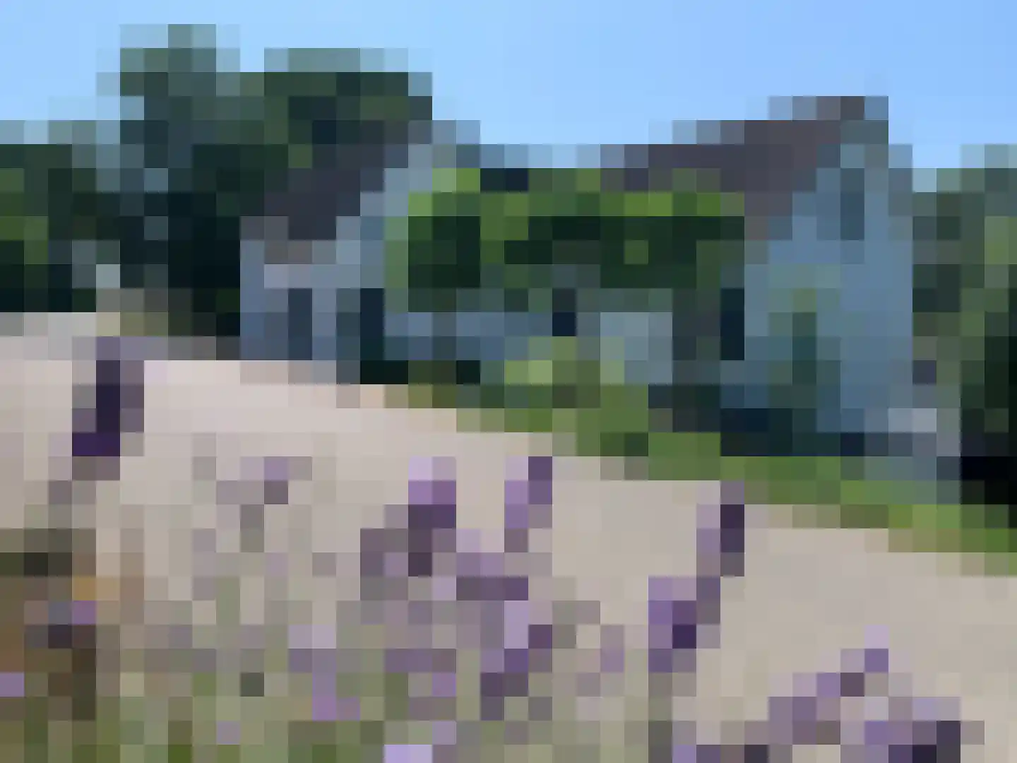 Maasdijk 45 Aalst thumbnail 64
