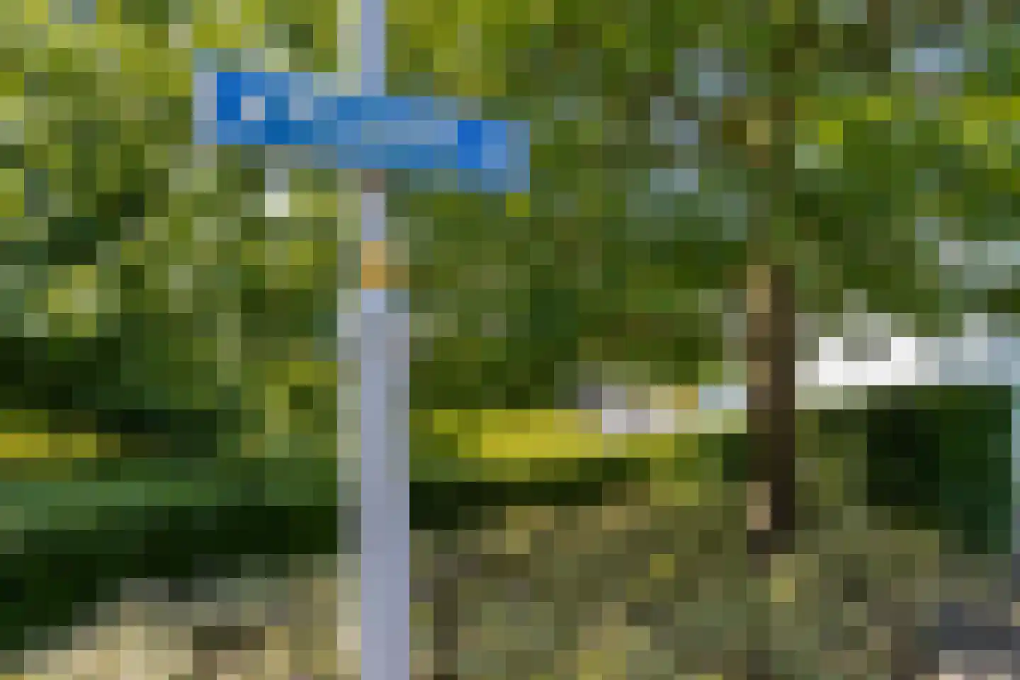 Maasdijk 45 Aalst thumbnail 71