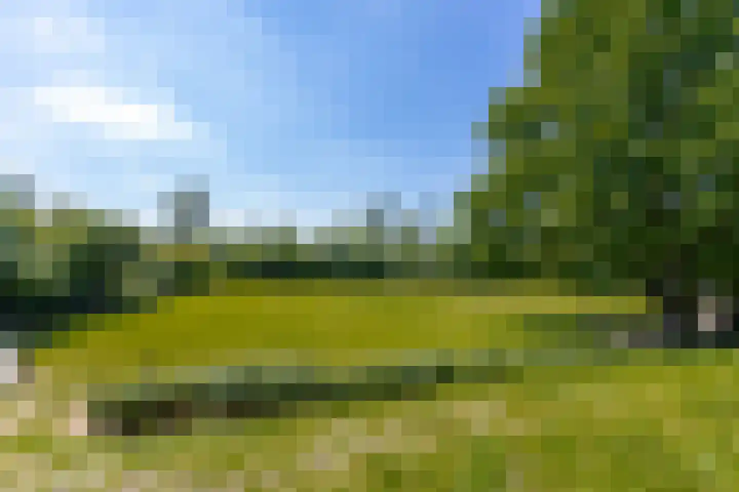 Maasdijk 45 Aalst thumbnail 72