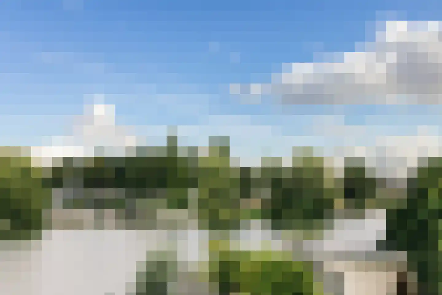 Maasdijk 45 Hedel thumbnail 11