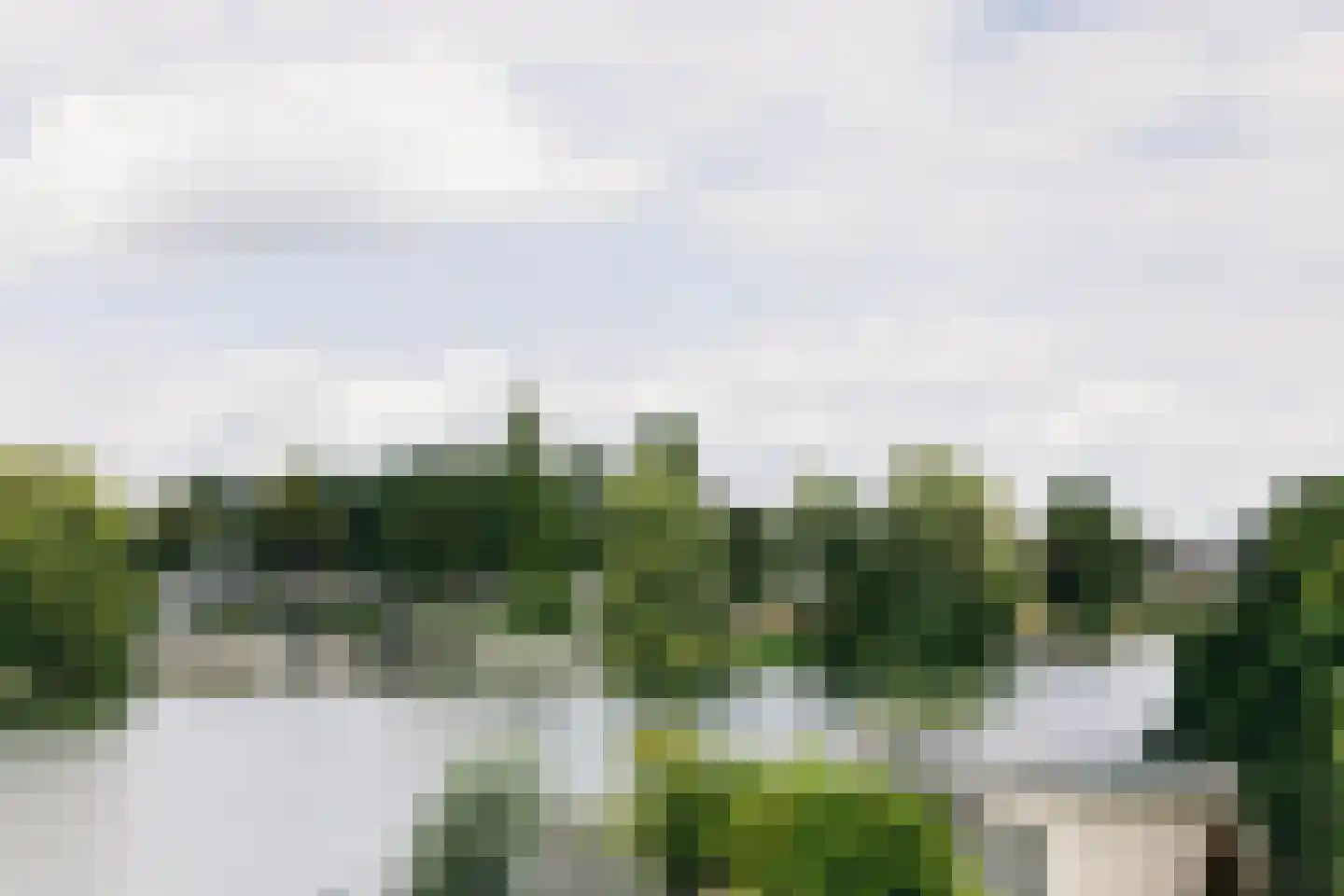 Maasdijk 45 Hedel thumbnail 12