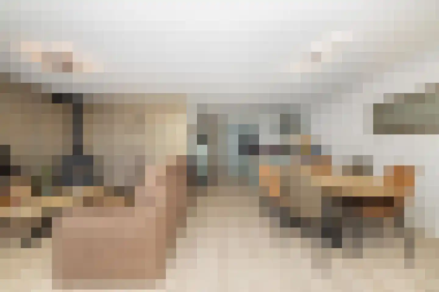 Maasdijk 45 Hedel thumbnail 20