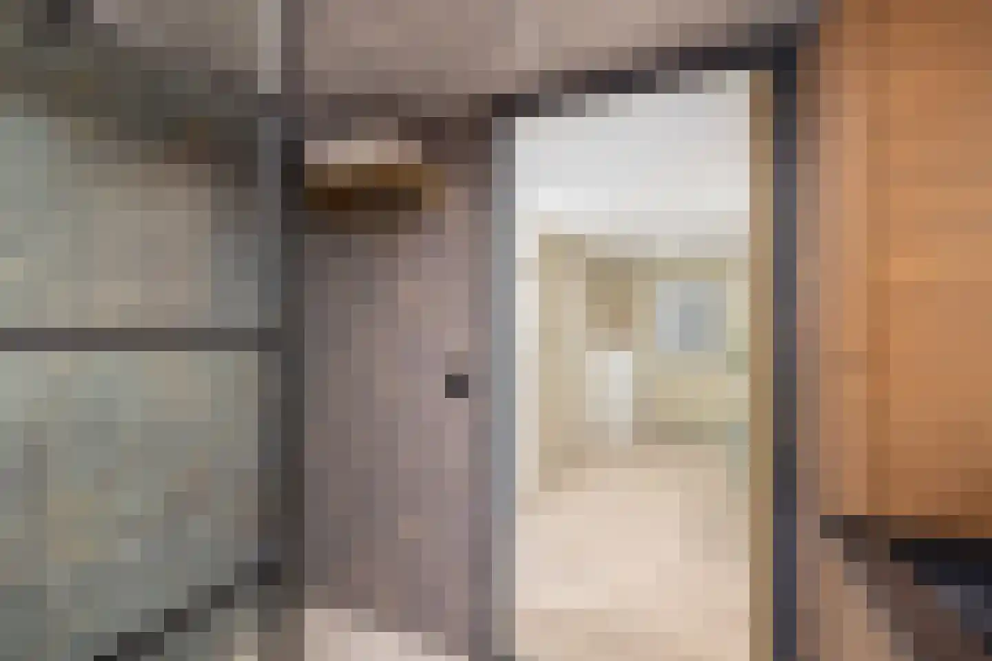 Maasdijk 45 Hedel thumbnail 32