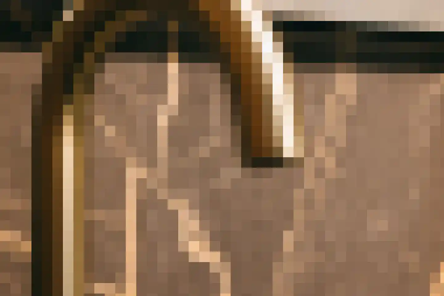 Maasdijk 45 Hedel thumbnail 34