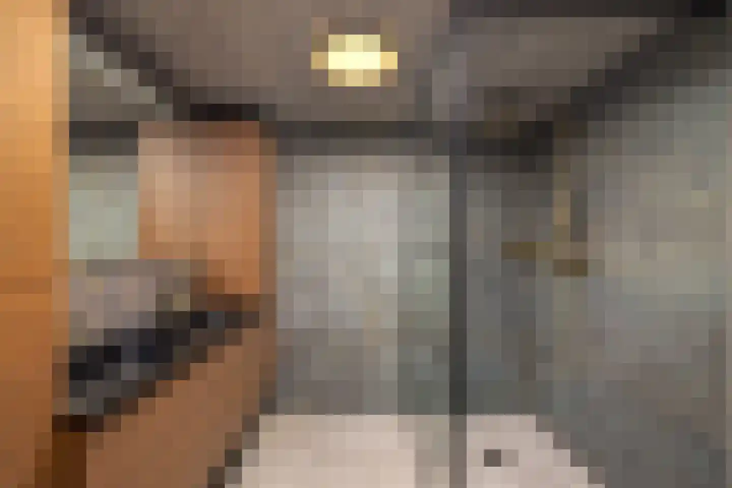 Maasdijk 45 Hedel thumbnail 36
