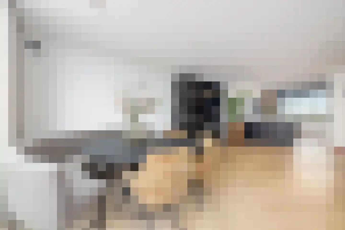Maasdijk 45 Hedel thumbnail 45