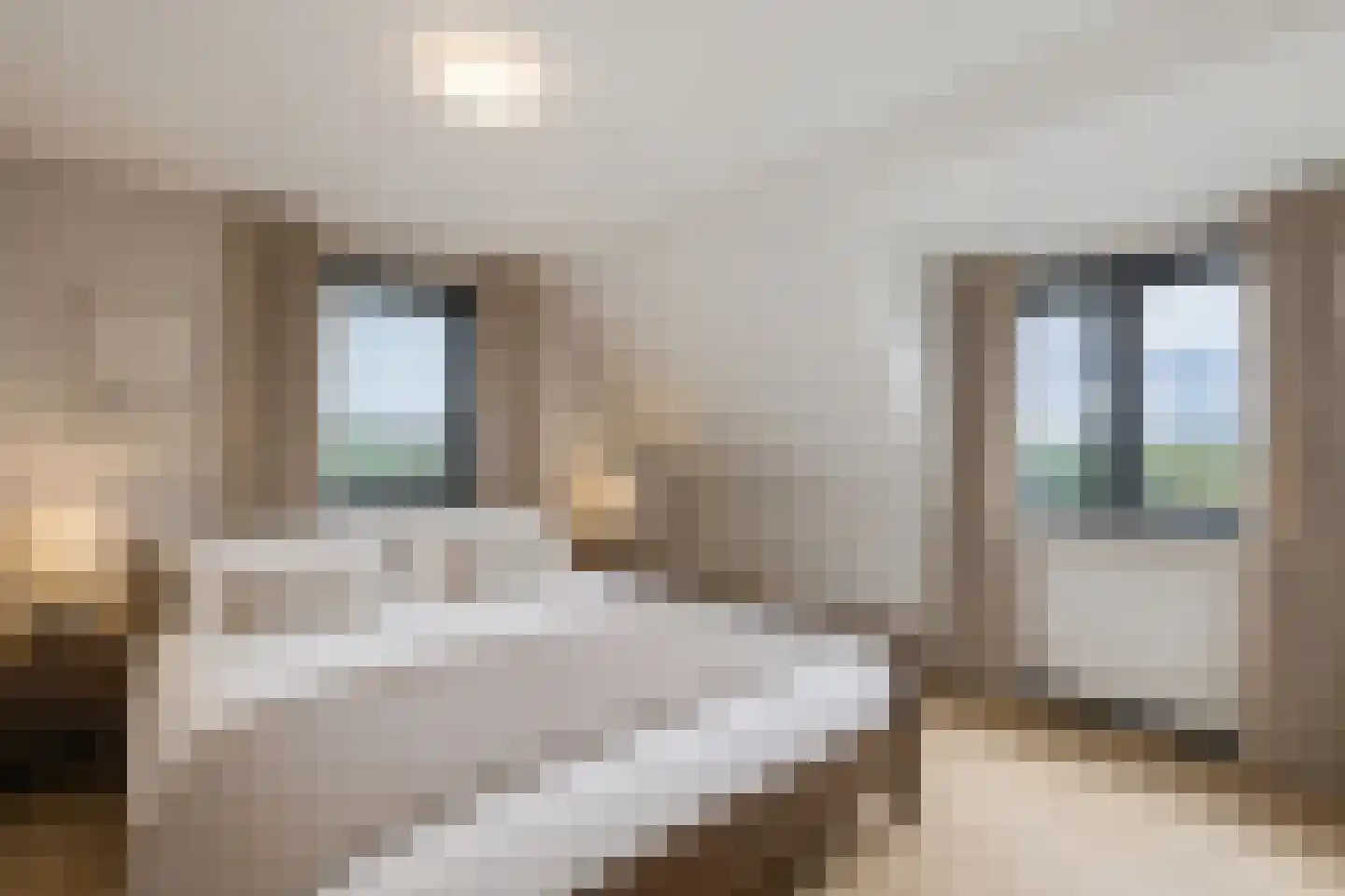 Maasdijk 45 Hedel thumbnail 48