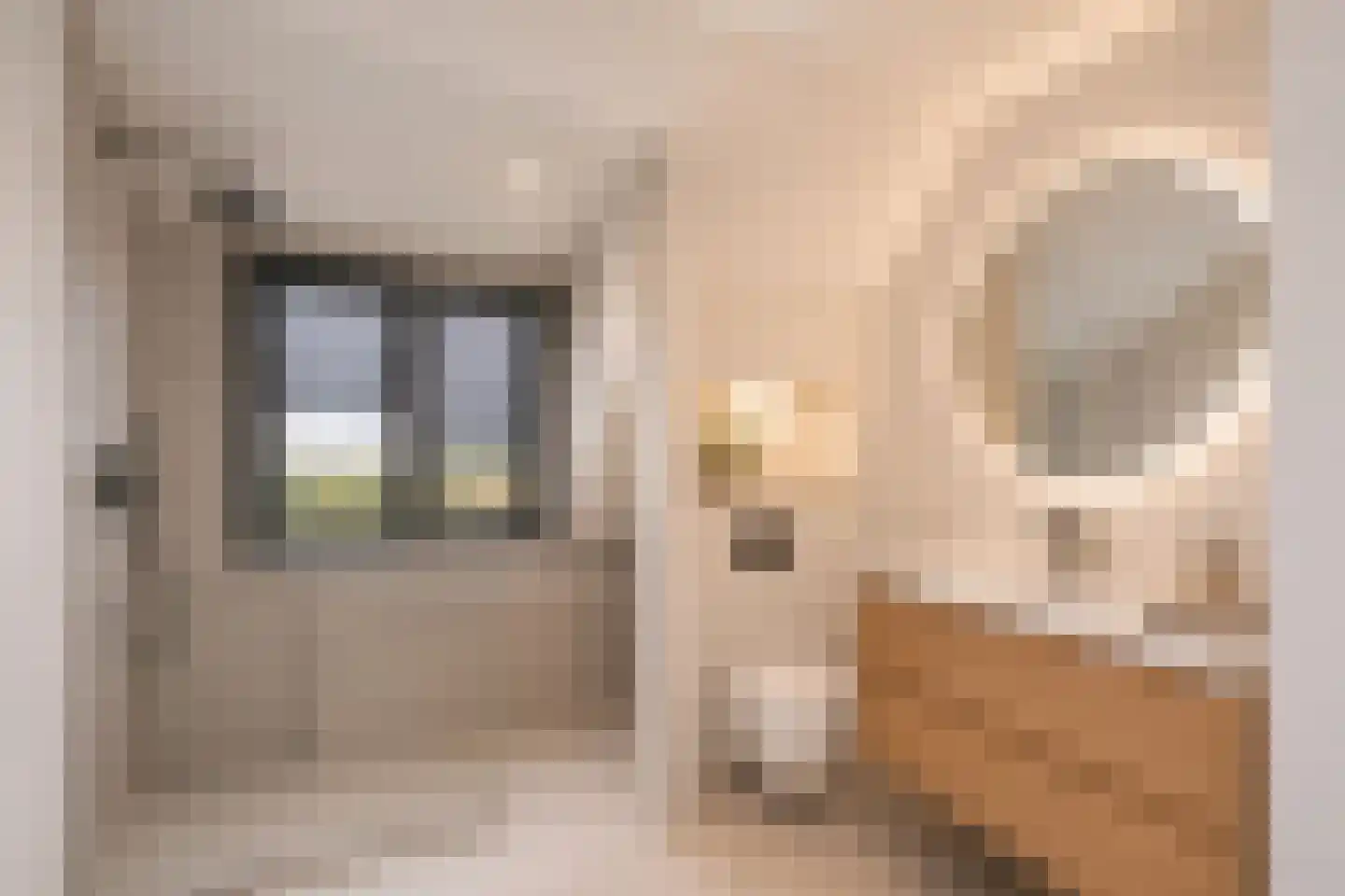 Maasdijk 45 Hedel thumbnail 49