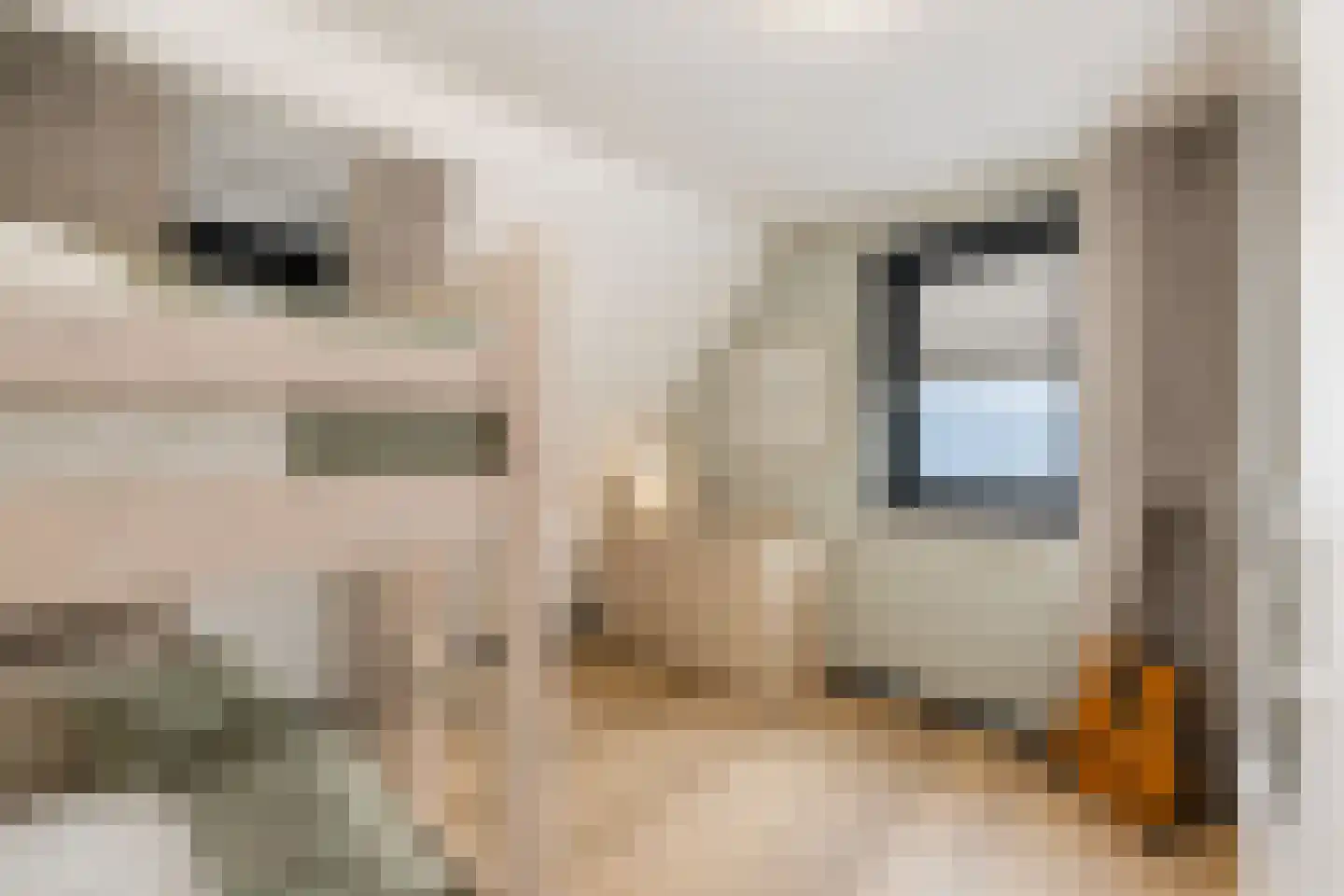 Maasdijk 45 Hedel thumbnail 50