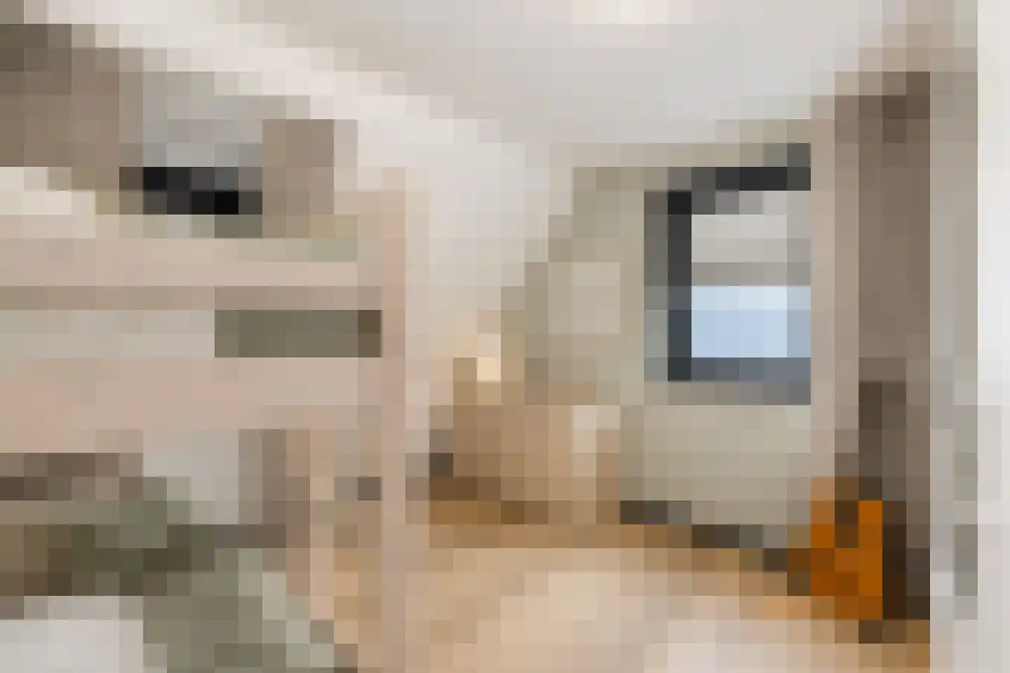 Maasdijk 45 Hedel thumbnail 51