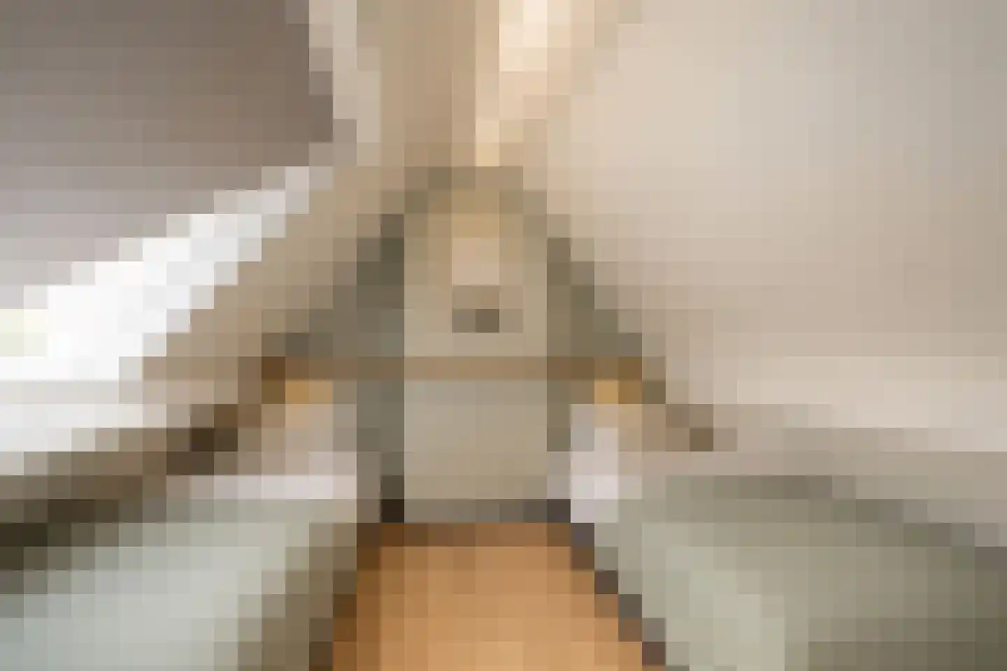 Maasdijk 45 Hedel thumbnail 51