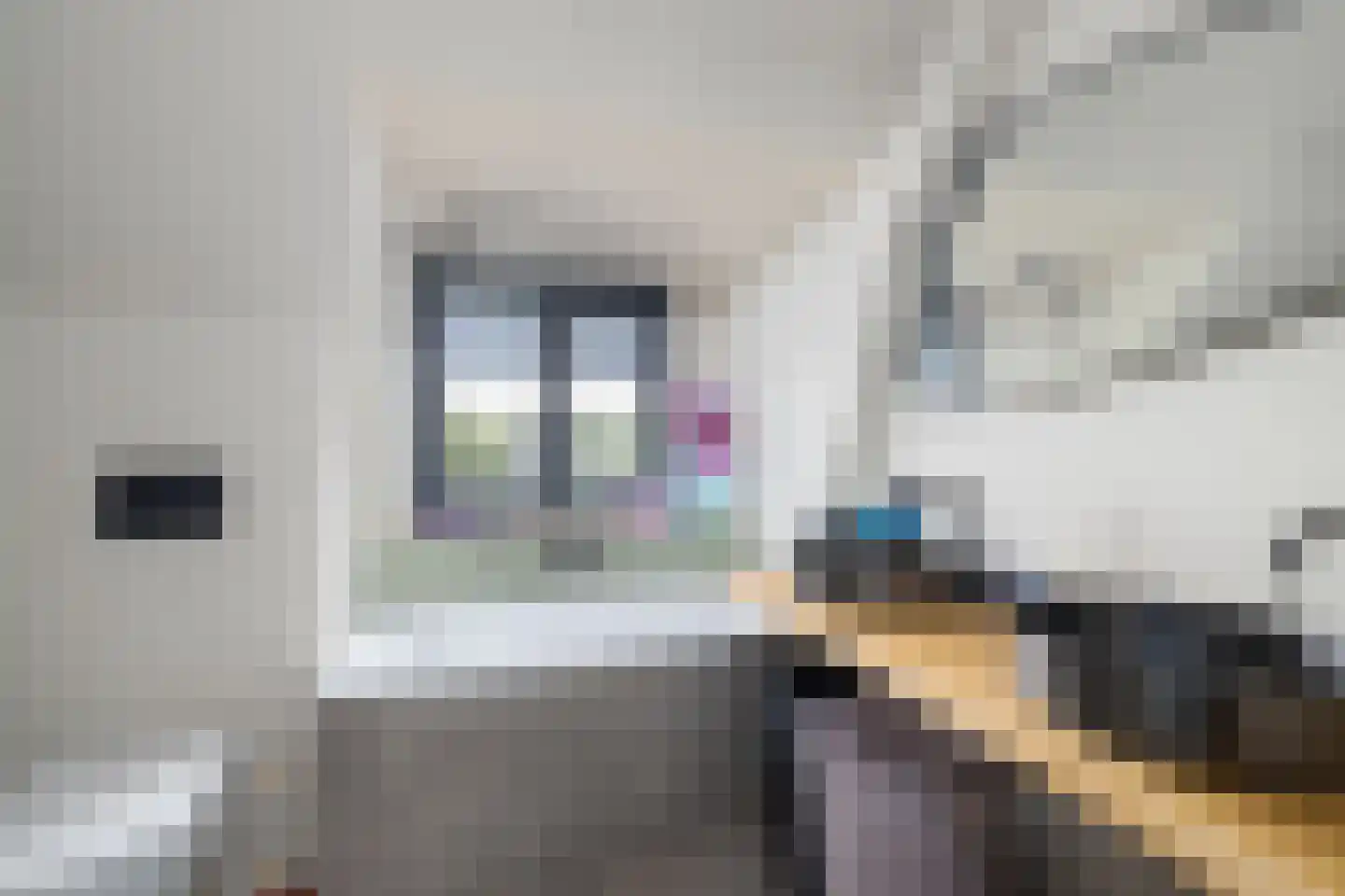 Maasdijk 45 Hedel thumbnail 52